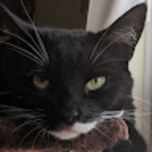 Meet your Posher, Thomas